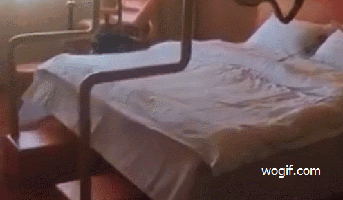 古代“情趣酒店”全自動(dòng)搖床，只賣18周歲+（GIF）