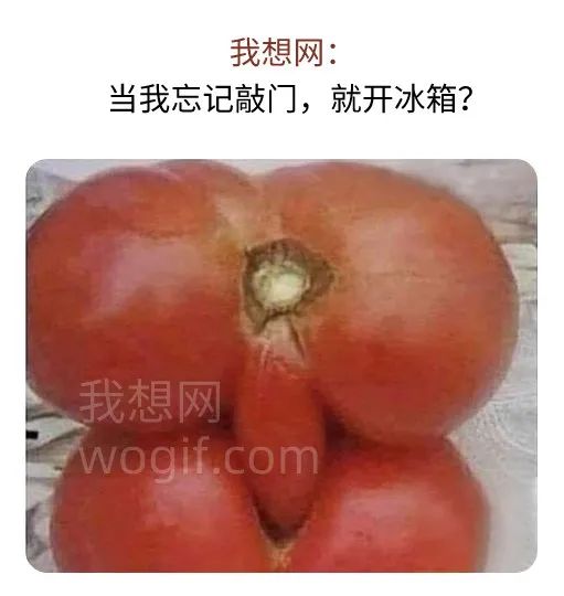 當我開冰箱，忘記敲門，倆西紅柿干起來了...