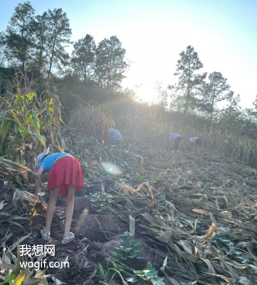 農(nóng)民“拆瓦房，搬樓房”不好嗎？ 我給你算筆賬！